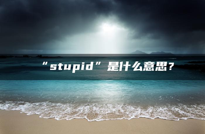“stupid”是什么意思？