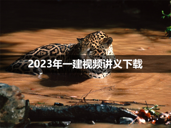 李立军2023年最新版一建视频讲义教程全集