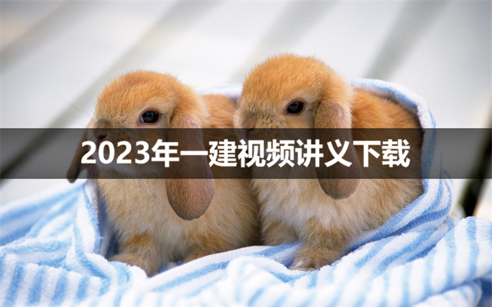 2023年高玲玲一建视频课程下载