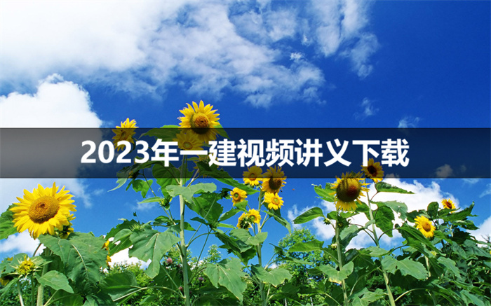 龙炎飞2023年一建视频讲义百度云下载【模块直播班】