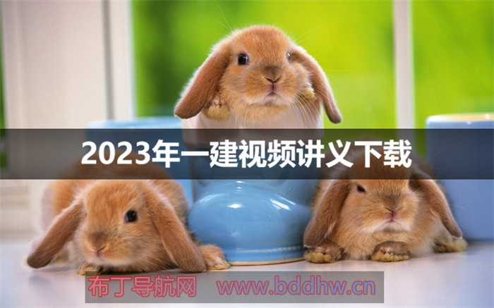 王文静2023年一建法规教学视频下载【基础直播班】