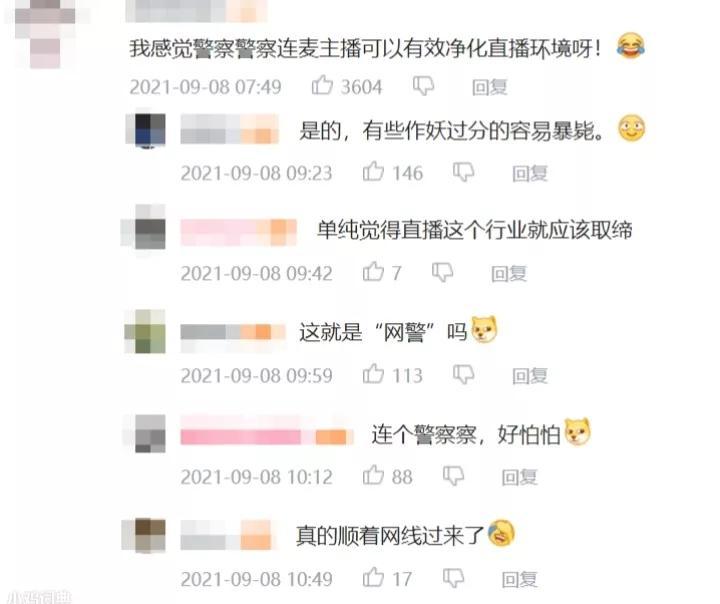 “这就是网警吗”是什么梗？