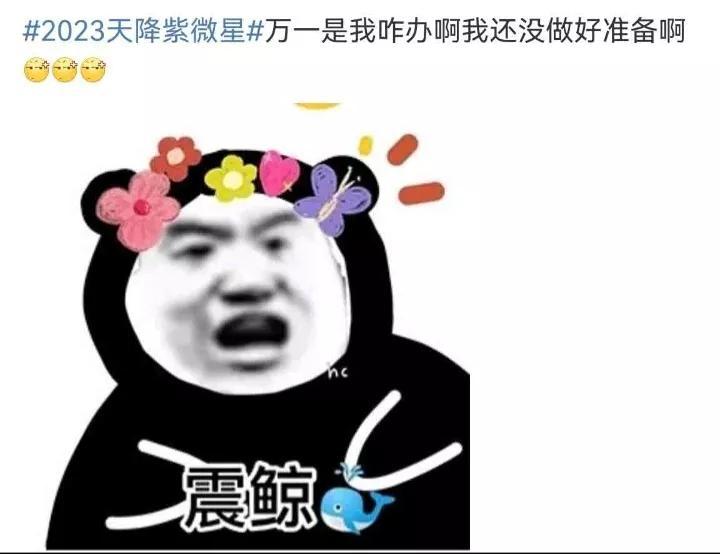 “2023天降紫微星”是什么意思？