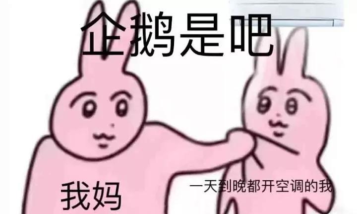 粉色兔子是什么梗（粉色兔子表情包）