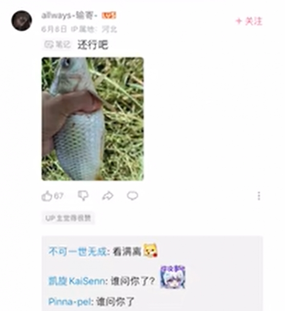 【网络热词】“谁问你了”是什么梗？