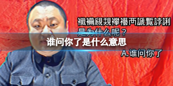 【网络热词】“谁问你了”是什么梗？