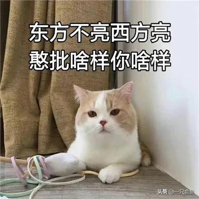 什么是梗（抖音最近很火的梗是什么？）