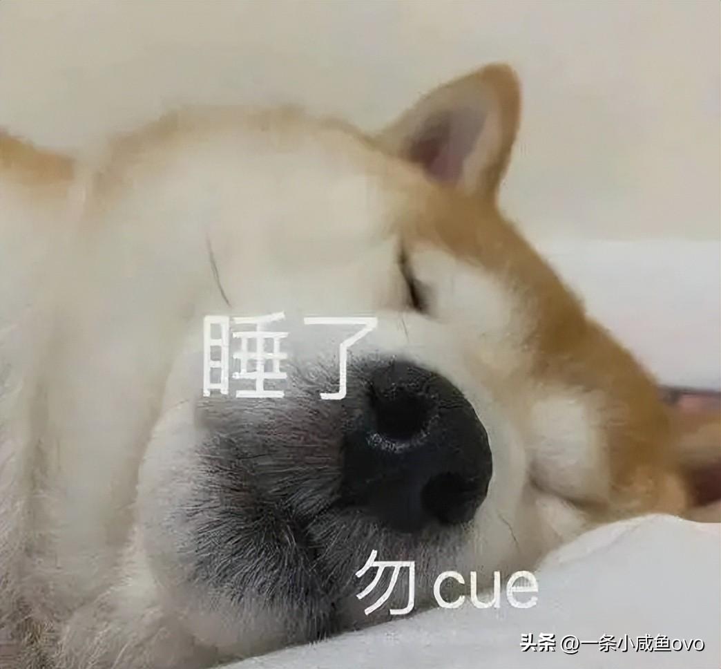 “勿cue”是什么意思？