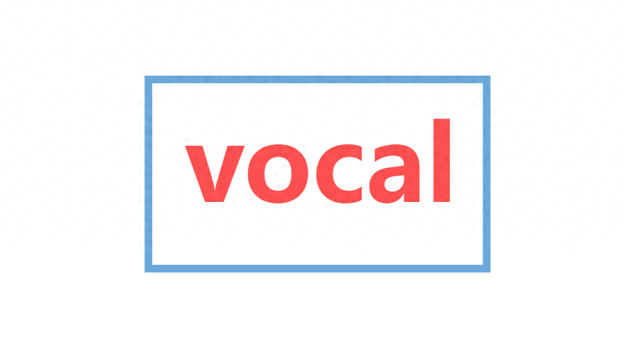 “vocal ” 是什么梗？