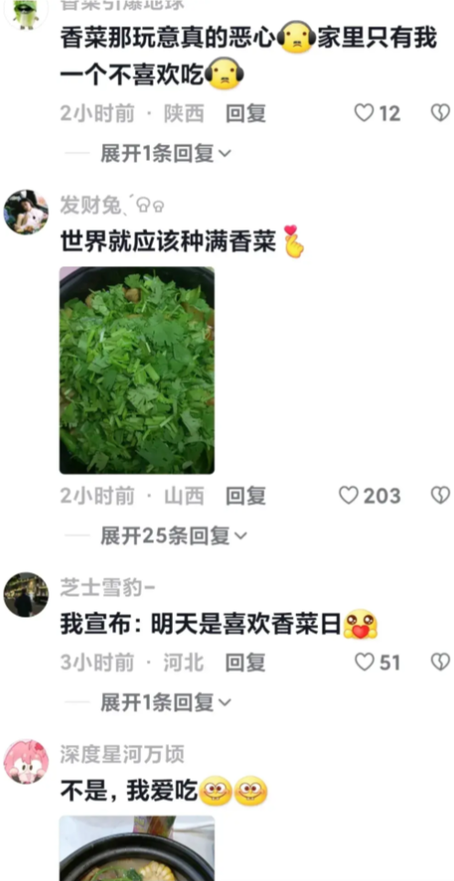 “世界讨厌香菜日”是什么梗？